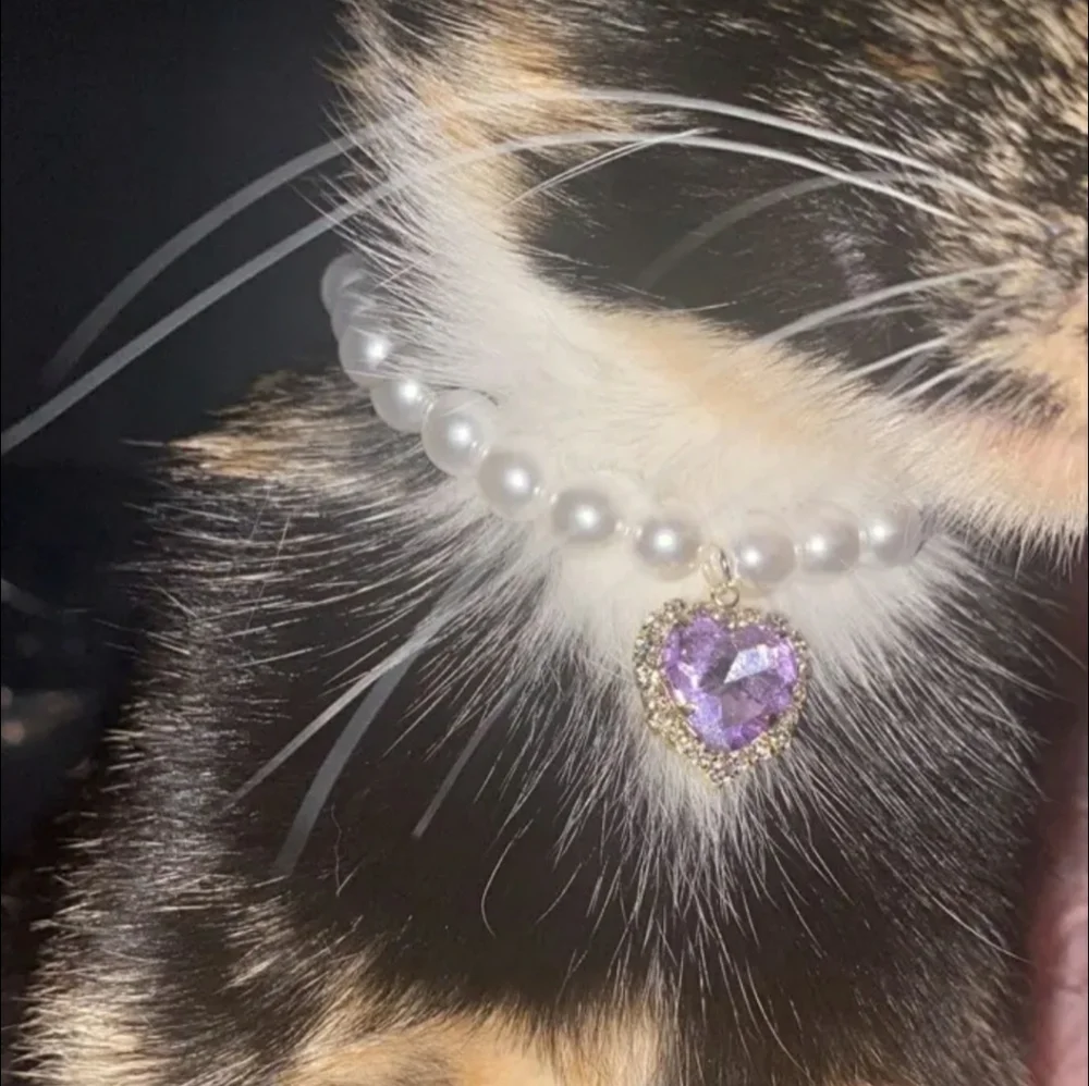 ⭐HOST PICK ⭐ PET NECKLACE